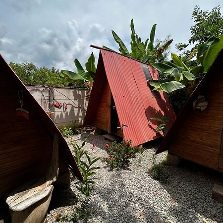 Ballena Oasis Homes & Glamping Uvita Ngoại thất bức ảnh
