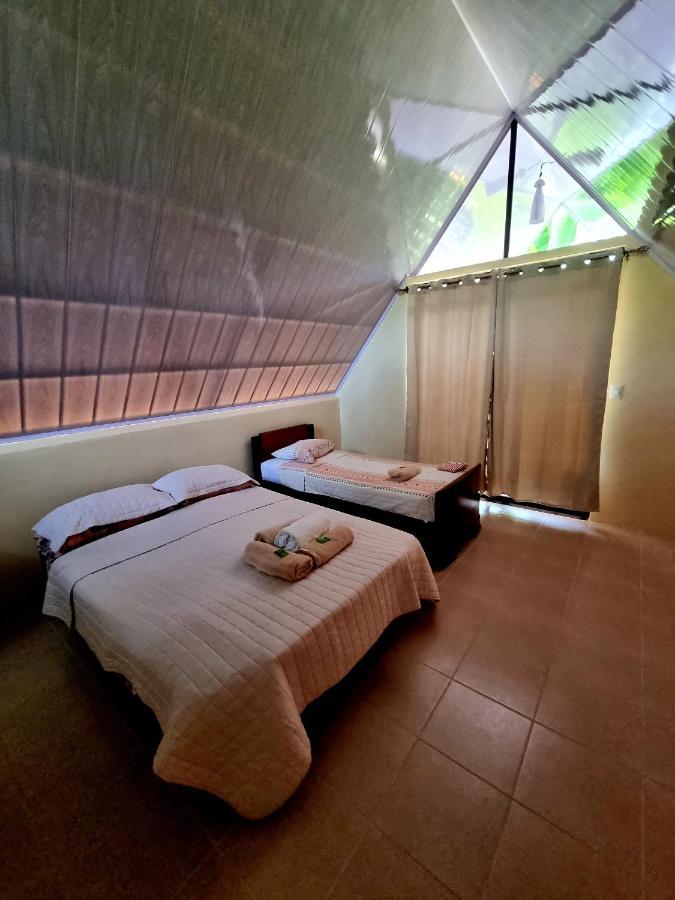 Ballena Oasis Homes & Glamping Uvita Ngoại thất bức ảnh