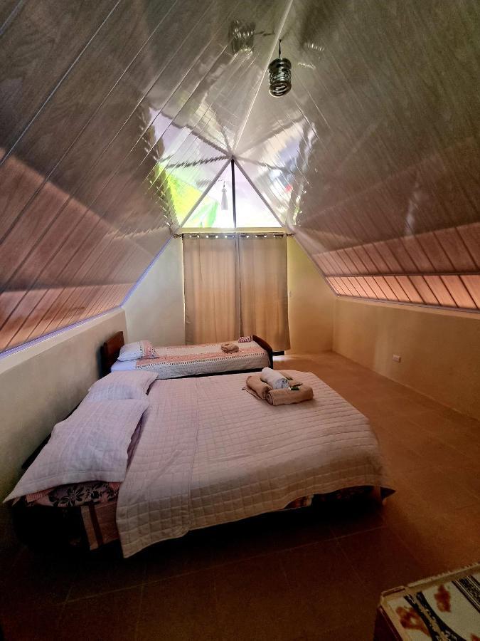 Ballena Oasis Homes & Glamping Uvita Ngoại thất bức ảnh