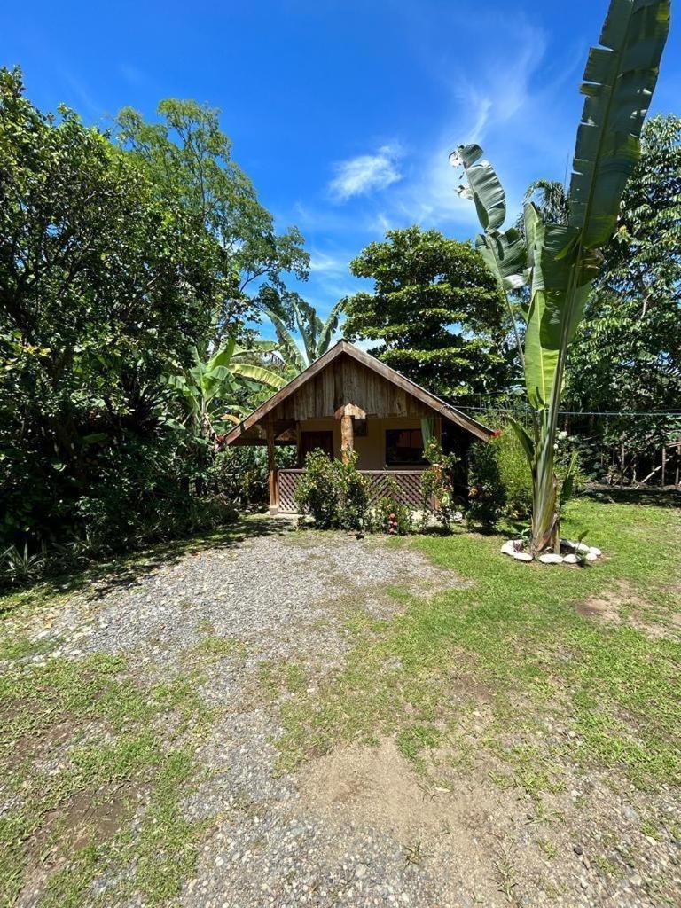Ballena Oasis Homes & Glamping Uvita Ngoại thất bức ảnh