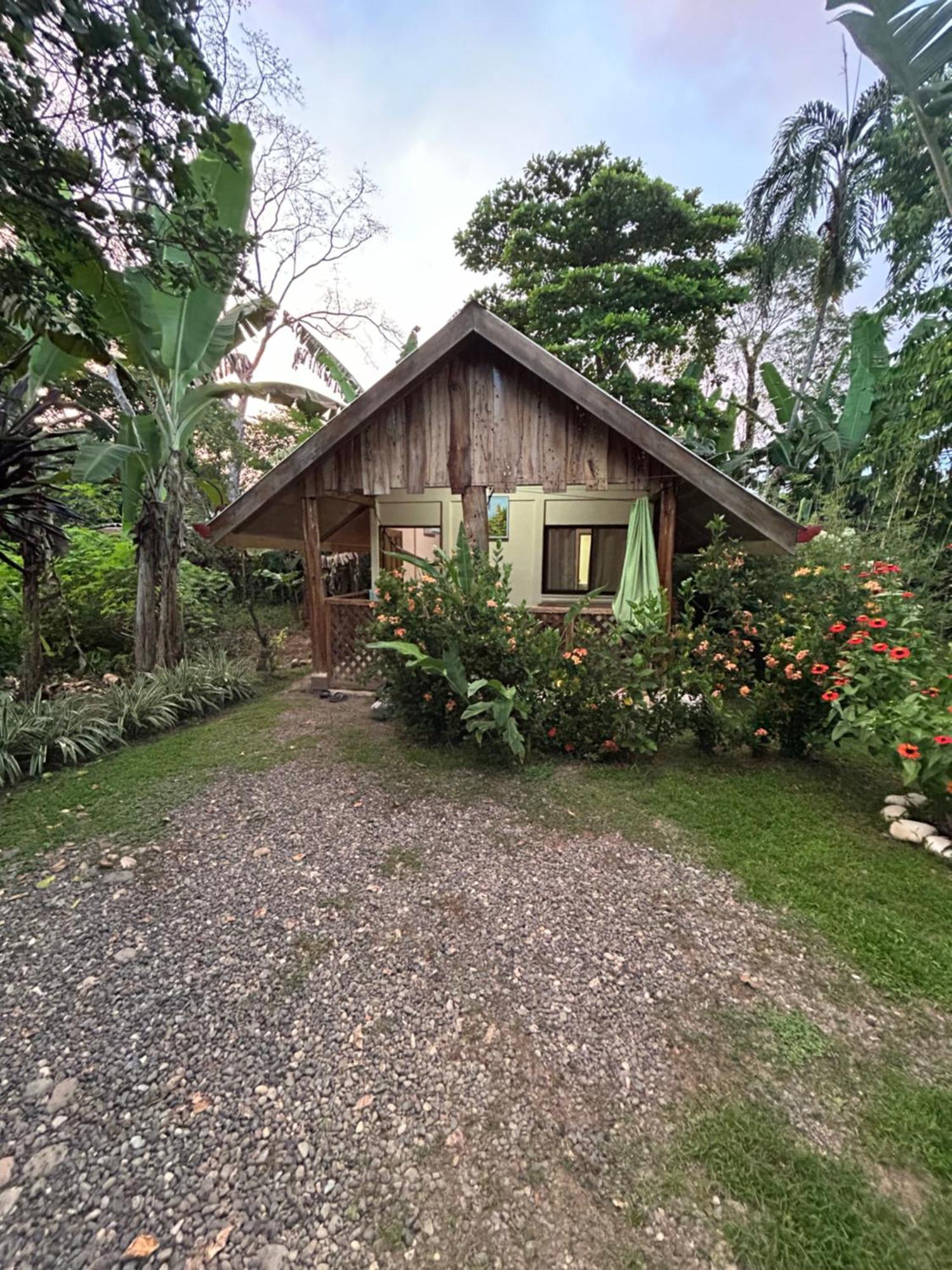 Ballena Oasis Homes & Glamping Uvita Ngoại thất bức ảnh