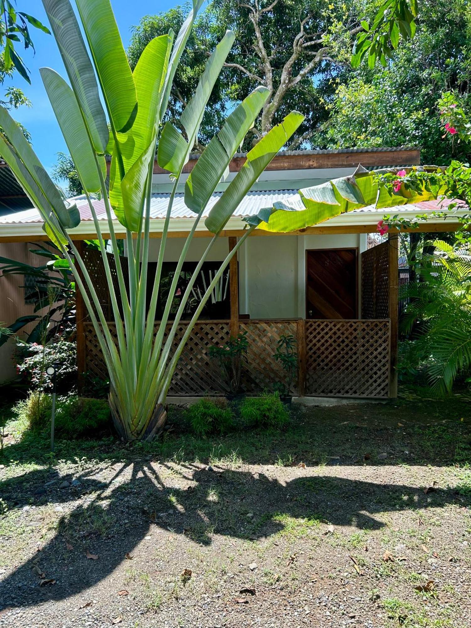 Ballena Oasis Homes & Glamping Uvita Ngoại thất bức ảnh