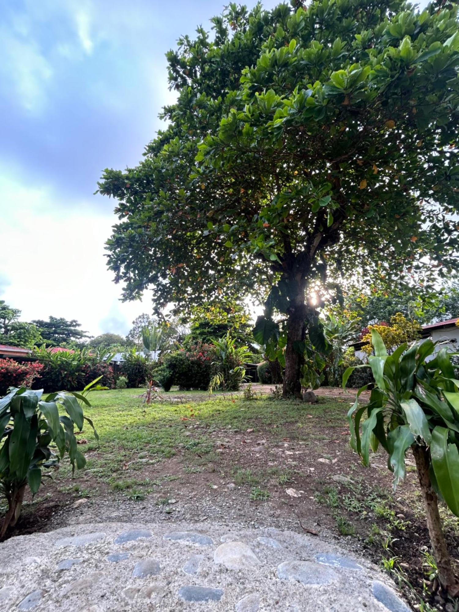 Ballena Oasis Homes & Glamping Uvita Ngoại thất bức ảnh