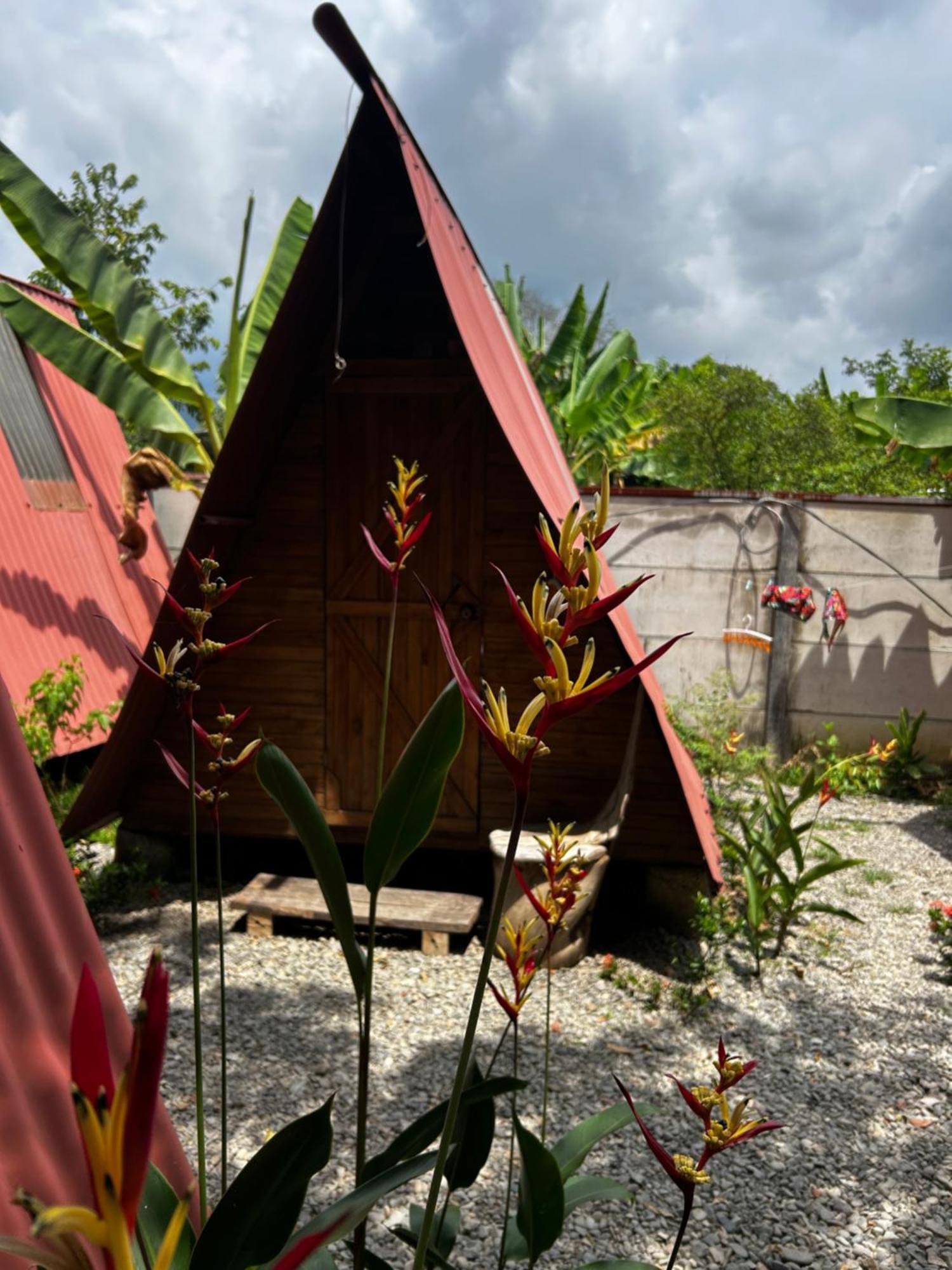 Ballena Oasis Homes & Glamping Uvita Ngoại thất bức ảnh
